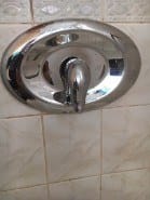 185. Moen Shower Faucet Installed with Remodel Plate