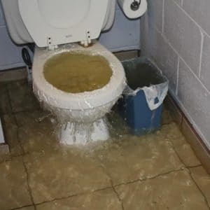 clogged-toilet