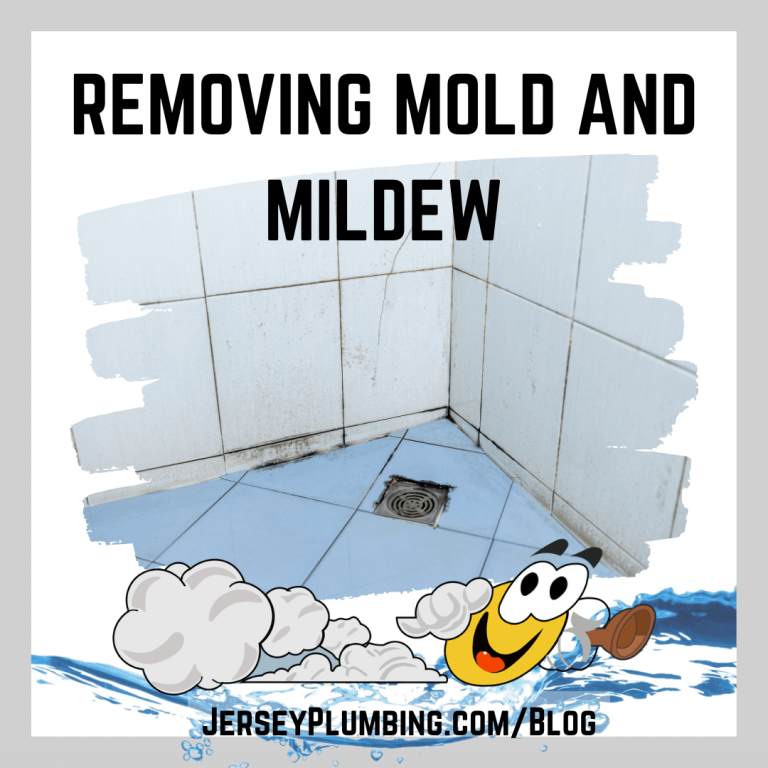Mold Mildew